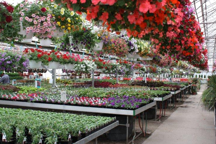 Didier Farms Greenhouse